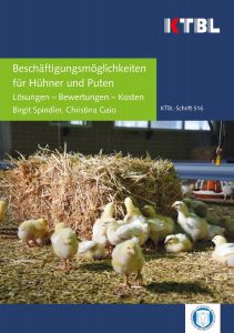 Beschäftigungsmöglichkeiten für Hühner und Puten - Lösungen - Bewertungen - Kosten