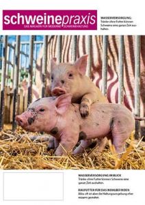 ABONNEMENT: Schweinepraxis